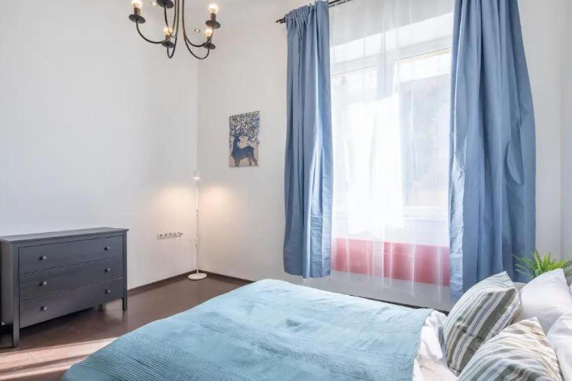 Buday Apartment Close To The Castle 布达佩斯 外观 照片